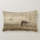 Search for buckskin Farm animals