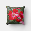 Recherche de arbustes coussins Fleur