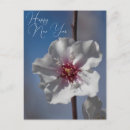 Search for your text new years cards Elegant