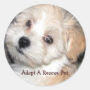 Search for rescued stickers Adopt