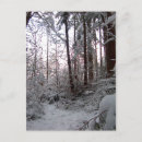 Search for snow scene postcards Forest