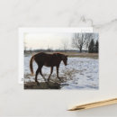 Recherche de chevaux neige cartes postales Équin