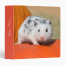 Search for spotted binders For kids