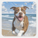 Search for american pitbull stickers Puppy