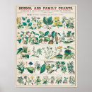 Recherche de économique art Botanique