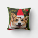 Search for corgi christmas pillows Funny
