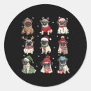 Search for pug dog stickers Birthday