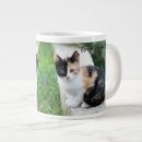 Recherche de opera tasses Chat