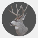 Recherche de mule autocollants Chasse