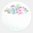 Search for cactus flower stickers Watercolor