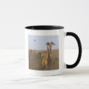 Search for camelopardalis Vertical