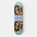 Recherche de coup skateboards Mignon