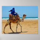 Search for morocco posters Camel