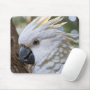 Search for cockatoos mousepads Australian