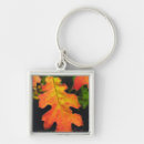 Search for oak leaf keychains Superstock