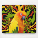 Search for conures mousepads Tropical