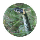 Recherche de serpents planches à découper Pour tous