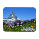 Recherche de souvenir voyage magnets Europe