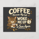 Search for beans postcards Cat