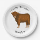 Search for scottish plates Cow