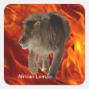 Search for lion picture stickers Lions