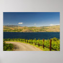 Search for ava posters Lake chelan