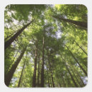 Search for peaceful scene stickers Forest