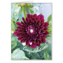 Search for congradulations photography Flowers