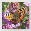 Search for butterly art Nature