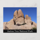 Search for joshua tree national park postcards Nature