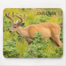 Search for black tailed electronics Buck