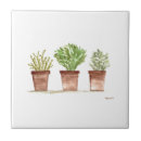 Recherche de sauge carreaux Botanique