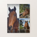 Recherche de horse puzzles Ferme