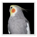 Recherche de animaux posters Cocktail