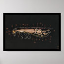 Search for zoology posters Biology