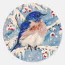 Recherche de bluebird autocollants Neige