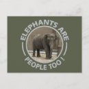 Search for elephant postcards Zoo