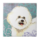 Recherche de frises carreaux Bichon