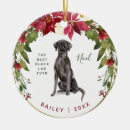 Search for red lab ornaments Cute