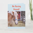 Search for horse get well cards Equine