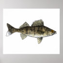 Search for pike fishing posters Freshwater