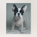 Recherche de french bulldog puzzles Animaux domestiques