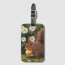 Recherche de écureuil bagages étiquettes Nature