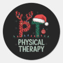 Search for pt stickers Xmas