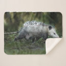 Search for wild child blankets Cute