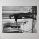 Search for man on a bicycle posters Woman