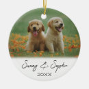 Search for two dogs ornaments Cute