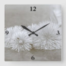 Recherche de pissenlits horloges Pour tous