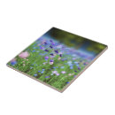 Search for cornflower blue tiles Wildflowers