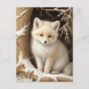 Recherche de renard blanc cartes postales Mignon